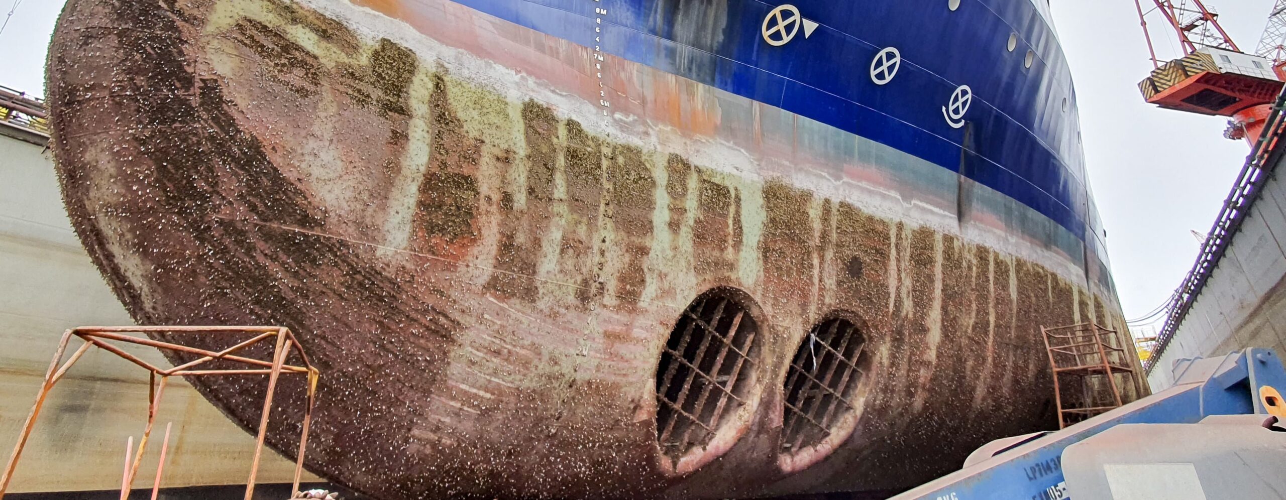 Fouling growth on a ship showing ship hull management is needed