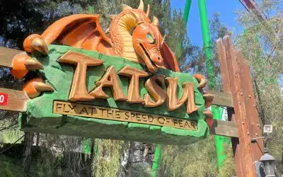Roller coaster ride restoration