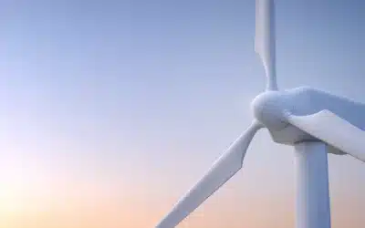 Next generation No 1 top coat