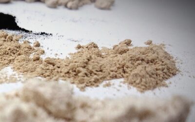 Sepiolite vs Bentonite: Understanding the rheological impact of two distinct clays